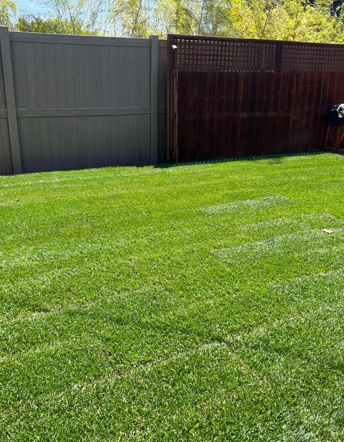 Installation of Sub-Surface Irrigation System and Sod Installation