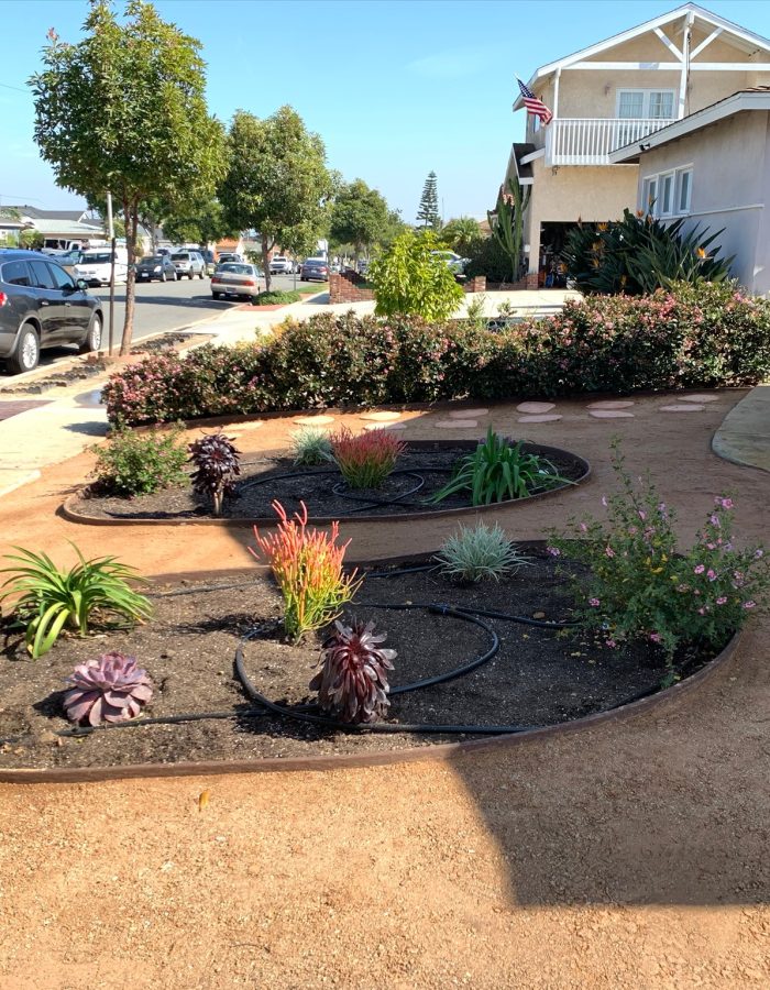 Installation of Decomposed Granite, Drip irrigation system, planters, plants and stepping stones