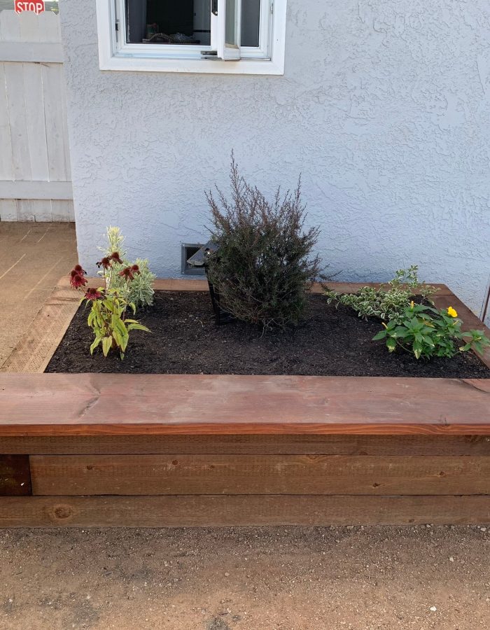 Installation of Decomposed Granite, planters and trees 