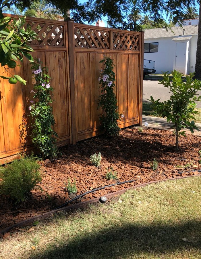 Installation of Irrigation system, planters, trees and plants 