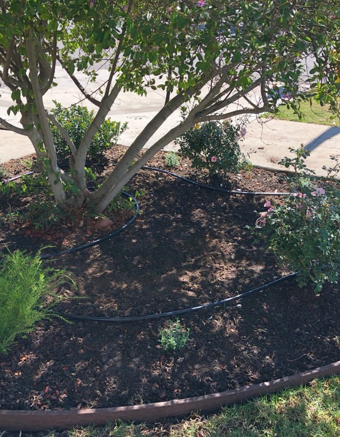 Installation of Irrigation system, planters, trees and plants