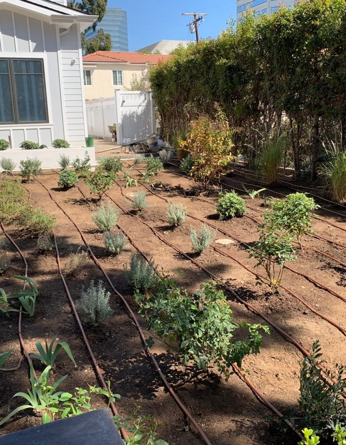 Installation of Irrigation system, trees and plants 