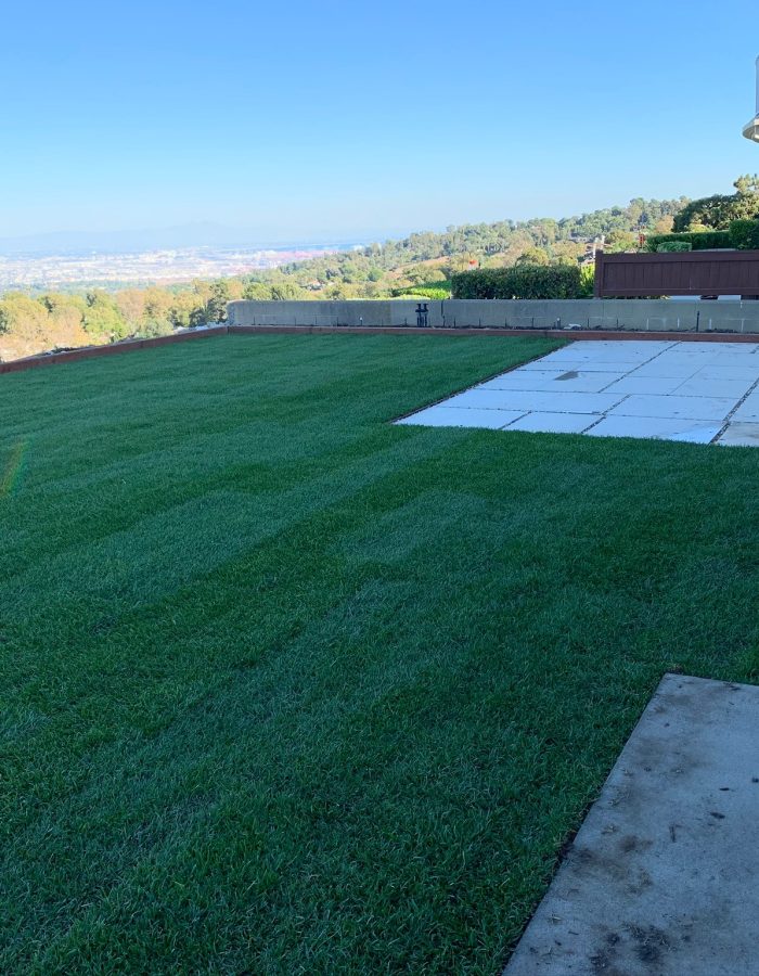 Installation of Stepping Stones, Sod, Irrigation system and planters 