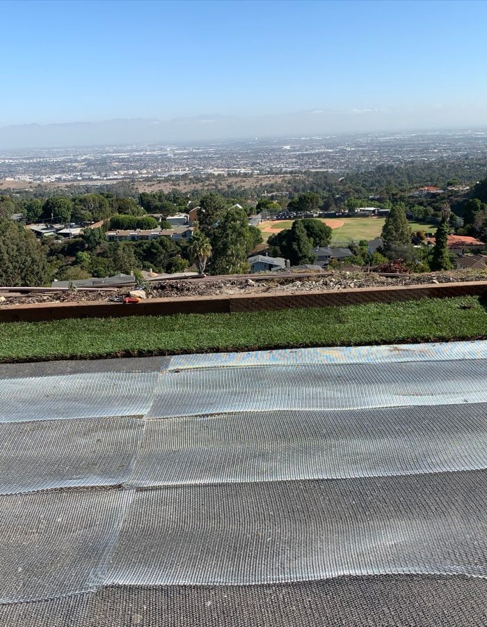 Installation of gopher mesh under the sod