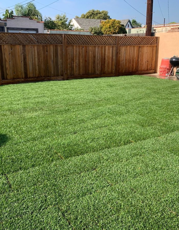 Installation of sod, Sprinkler system and Decomposed Granite 