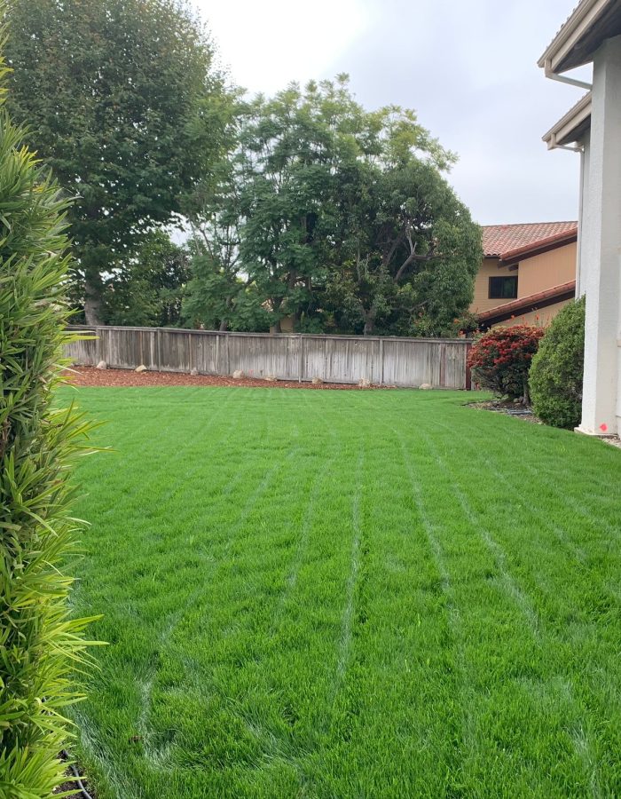 Installation of sod and wood chips 