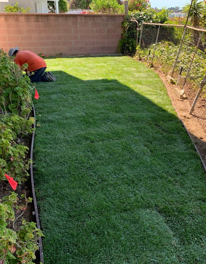 Marathon II sod installation 