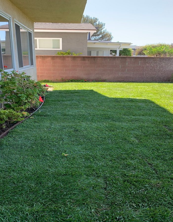 Marathon II sod installation 