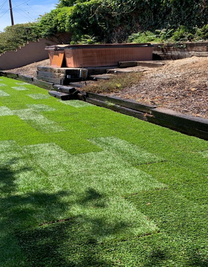 Marathon II sod installation Sod installation